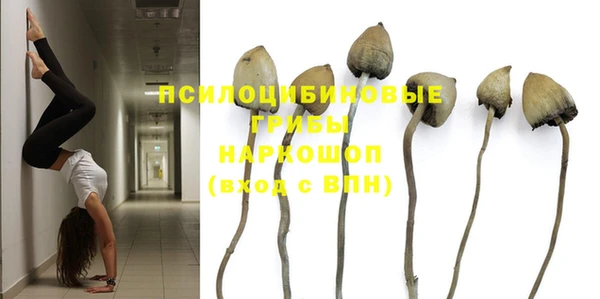 гидропоника Бронницы