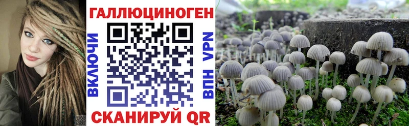 Галлюциногенные грибы GOLDEN TEACHER Киренск