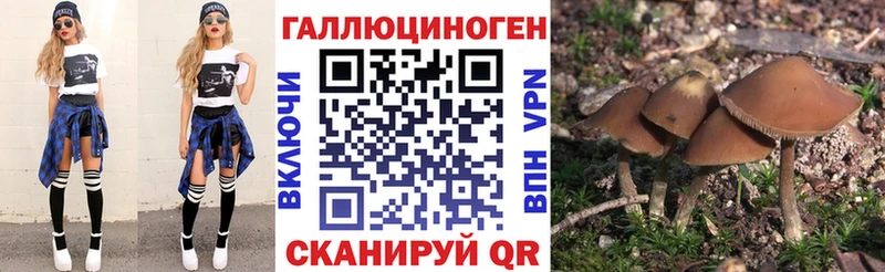 Псилоцибиновые грибы Cubensis  omg   Киренск  цена наркотик 